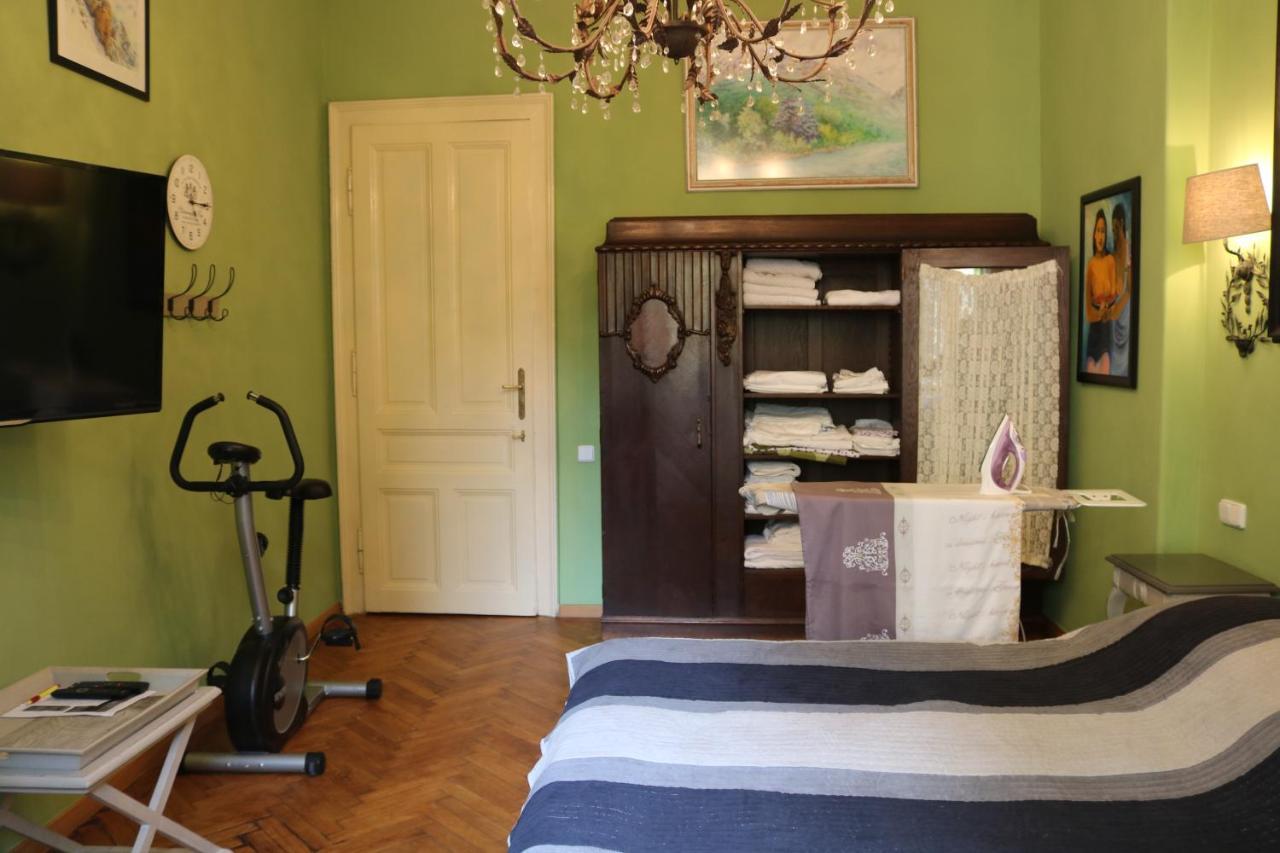 Retro Big With Two Balconies And Lift Apartmán Karlovy Vary