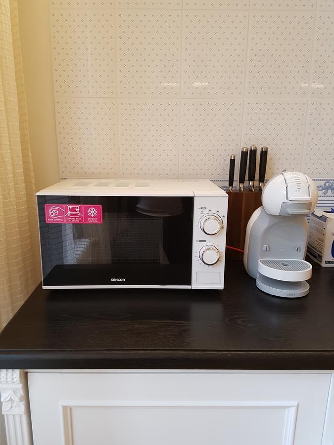 Apartmán Retro Big With Two Balconies And Lift Karlovy Vary