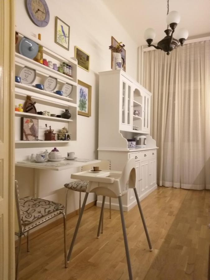 Apartment Retro Big With Two Balconies And Lift *